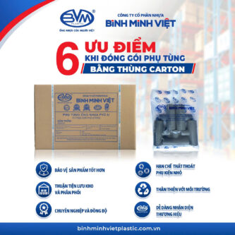 Carton Packaging: A New Milestone in Elevating Binh Minh Viet’s Product Quality